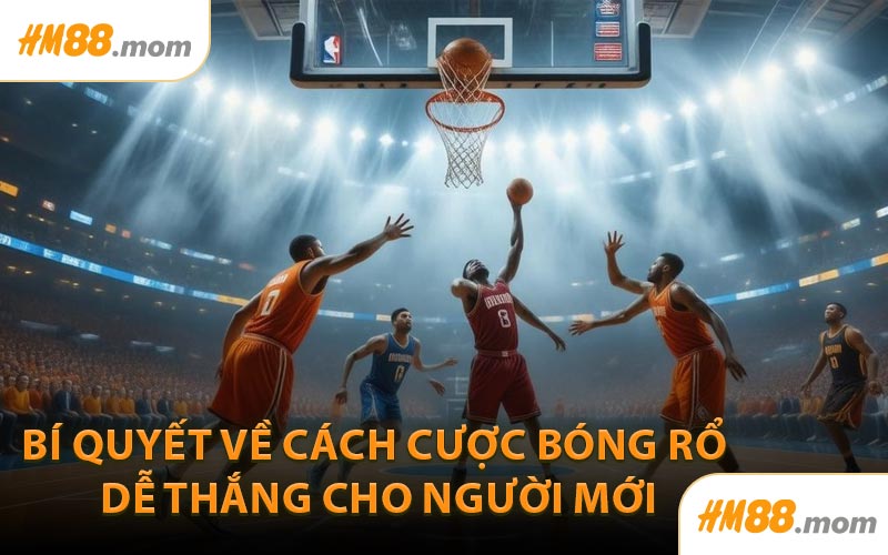 Bí quyết về cách cược bóng rổ dễ thắng cho người mới