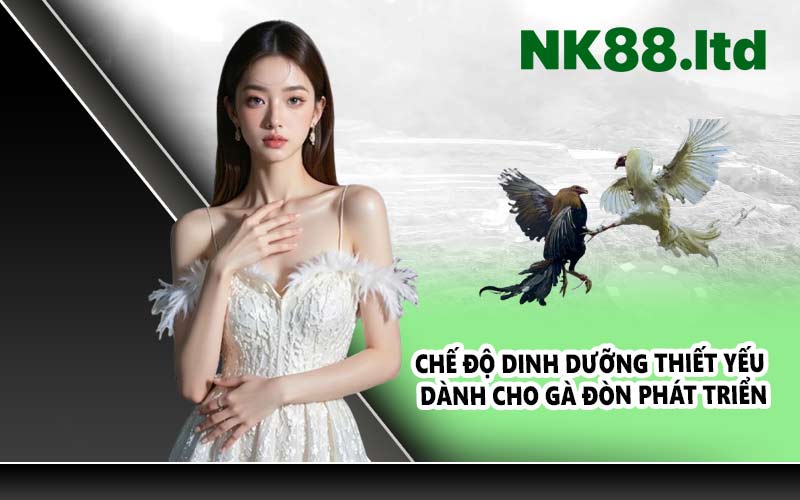 Chế độ dinh dưỡng thiết yếu dành cho gà đòn phát triển