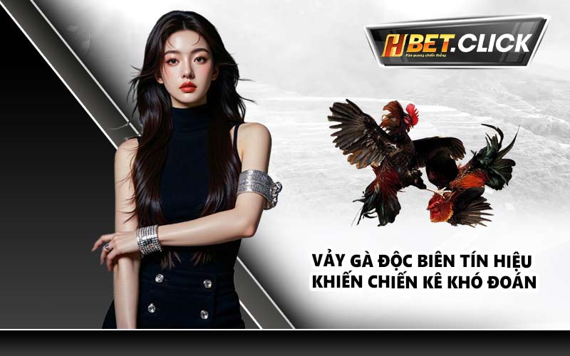 Vảy gà độc biên tín hiệu khiến chiến kê khó đoán