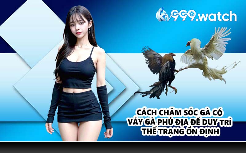 Cách chăm sóc gà có vảy gà phủ địa để duy trì thể trạng ổn định